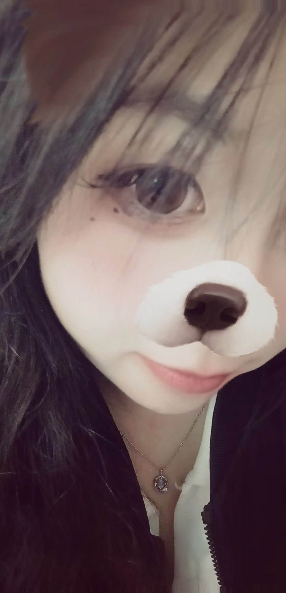 TY-C026
