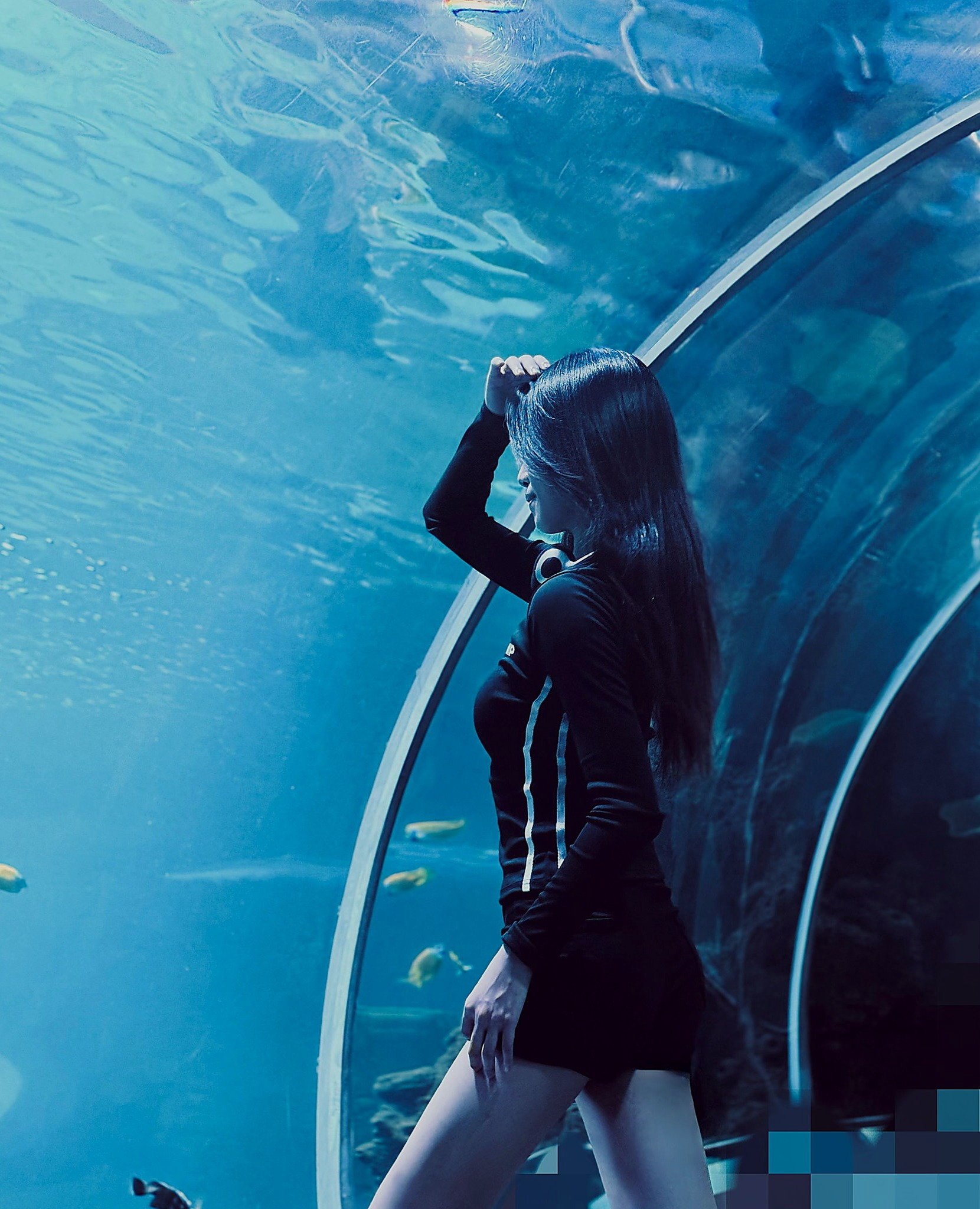 李逍遥九1030