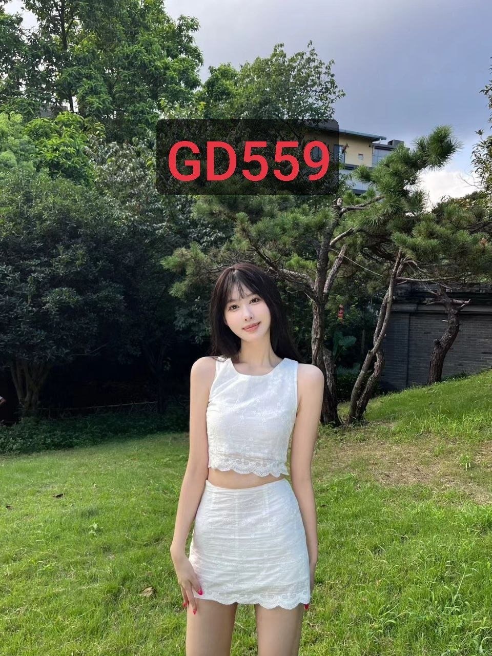 GD559