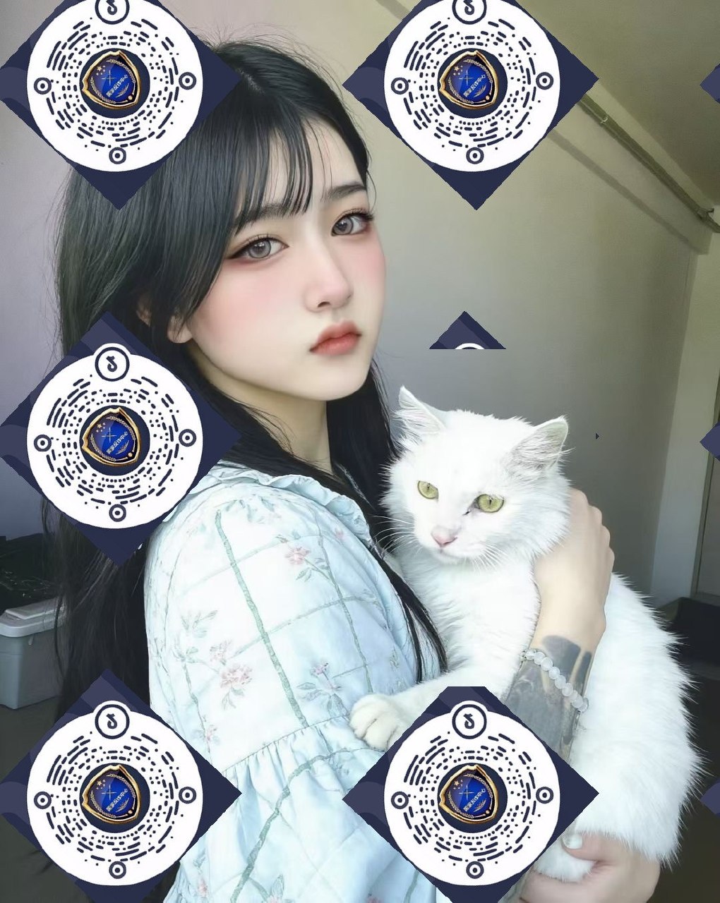 朴朴村长238