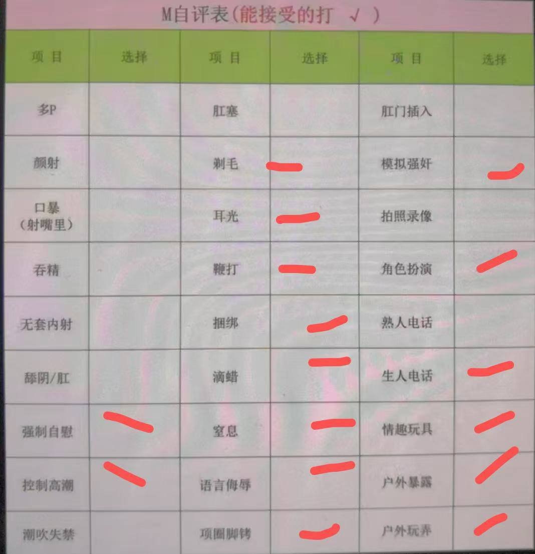 朴朴村长112