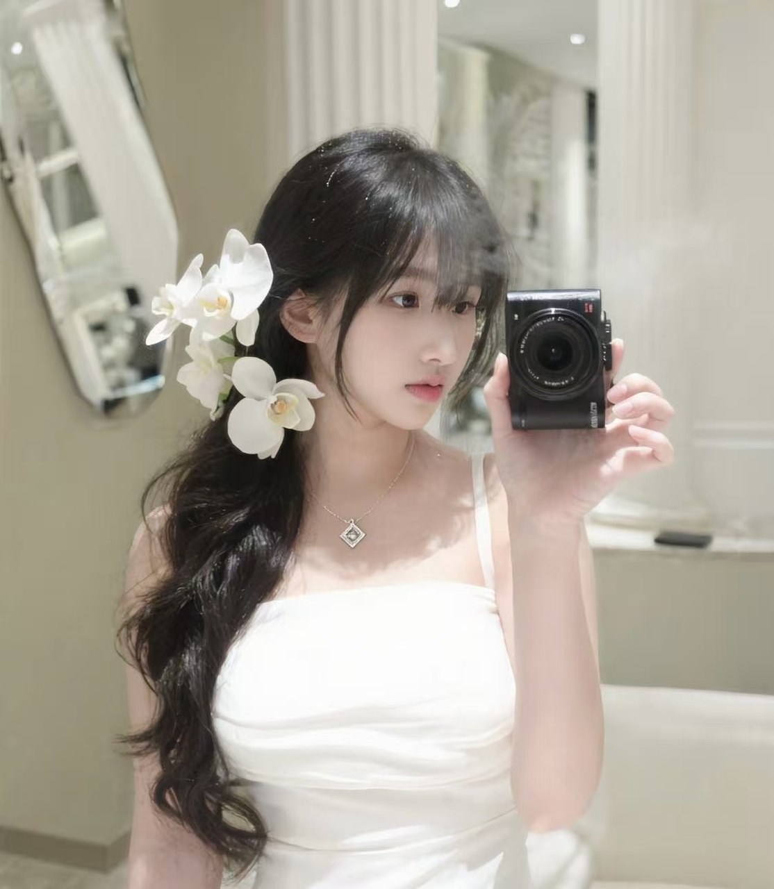 吉祥鸟by026