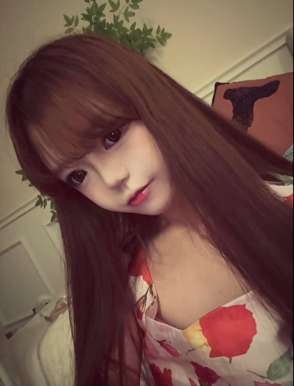 毛毛