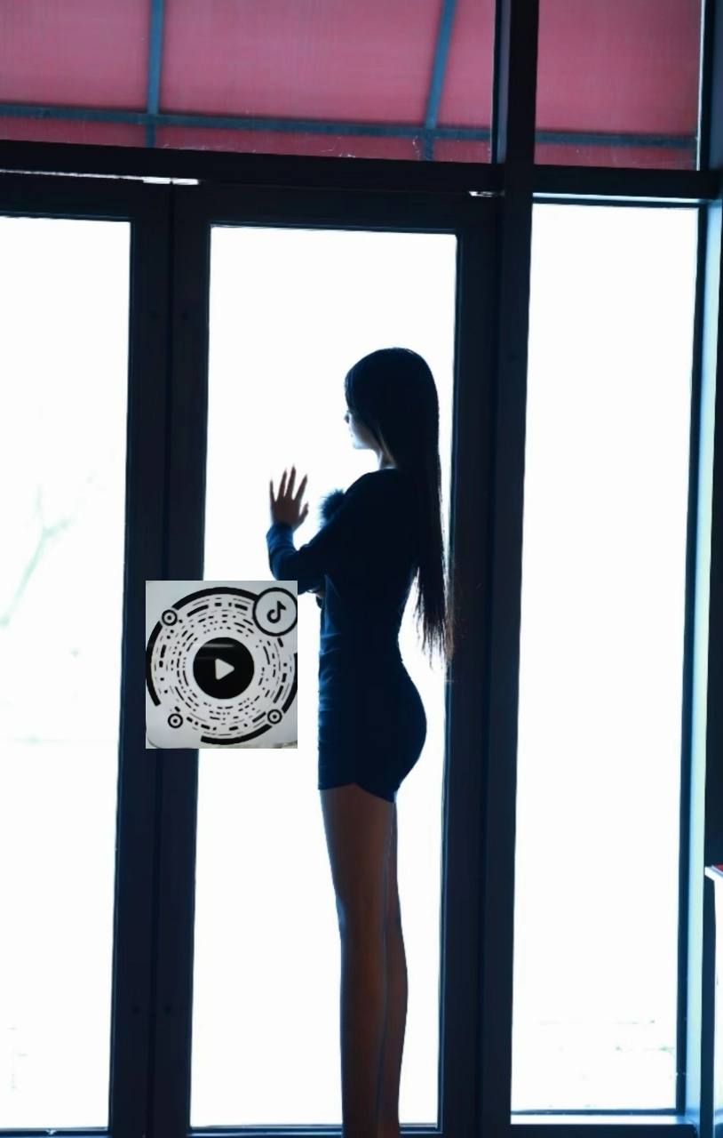杨杨