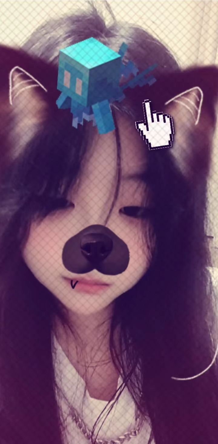 still636