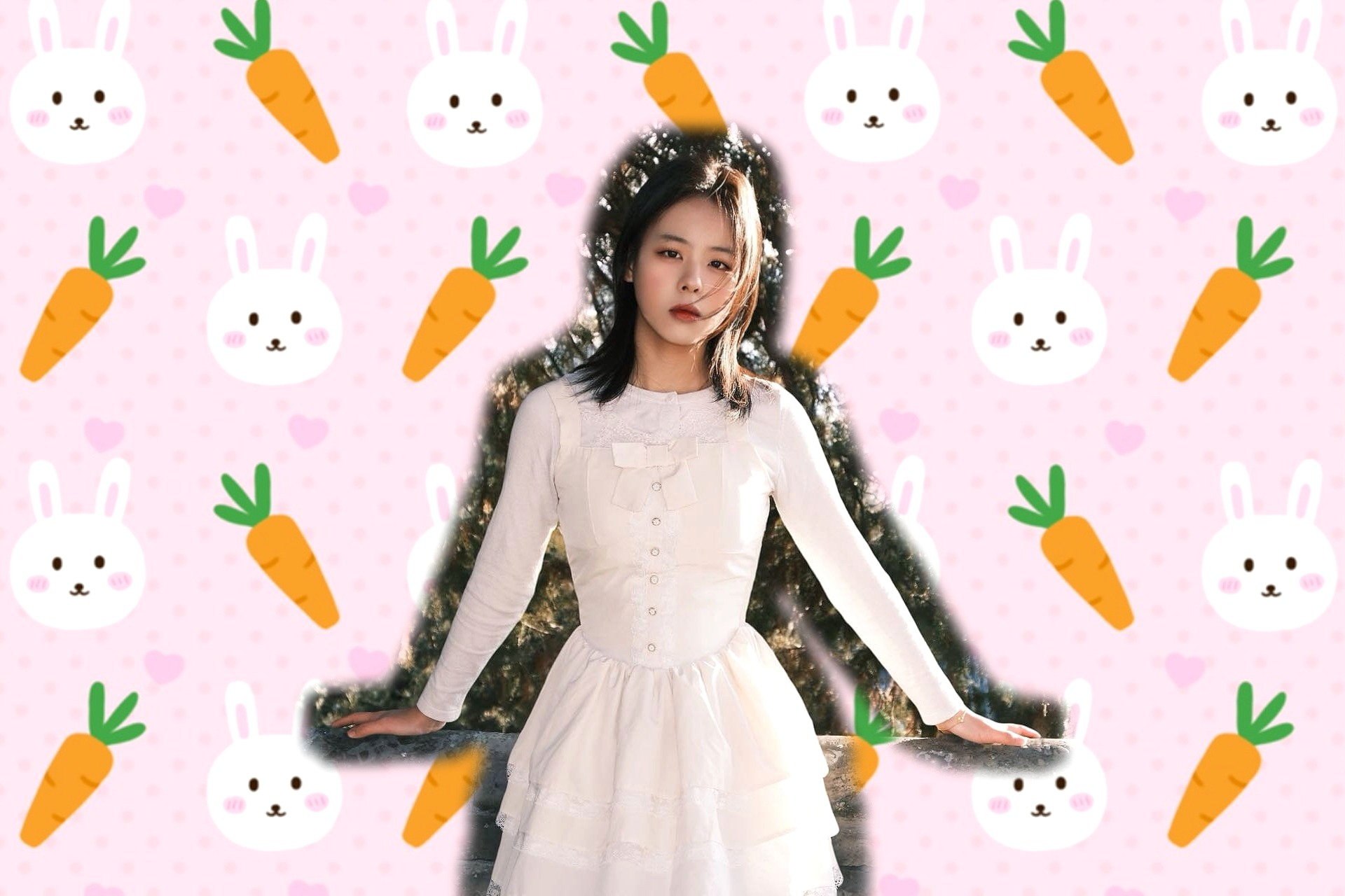 樊樊