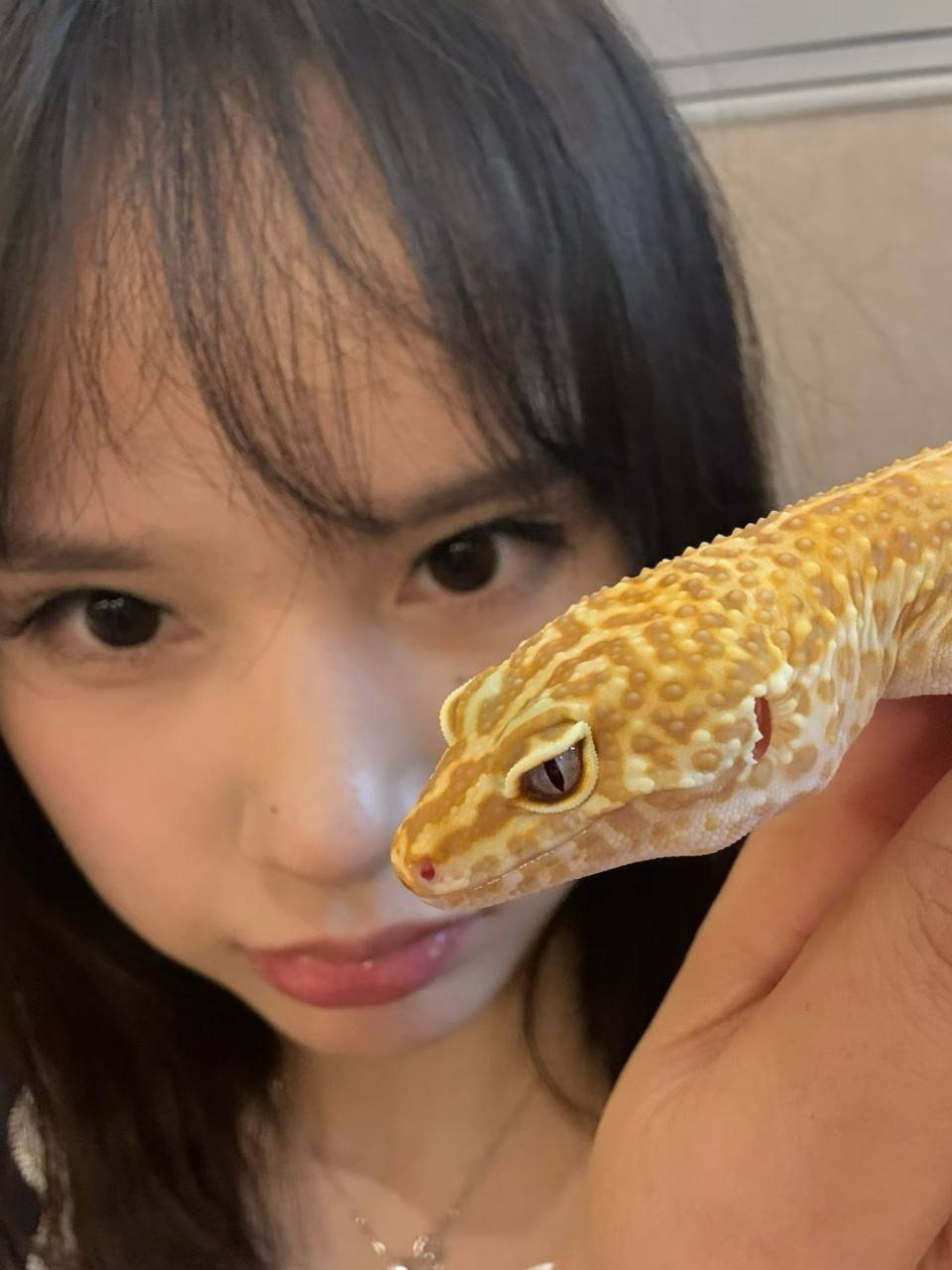 小七七