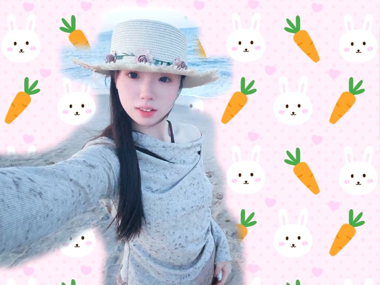 猫猫