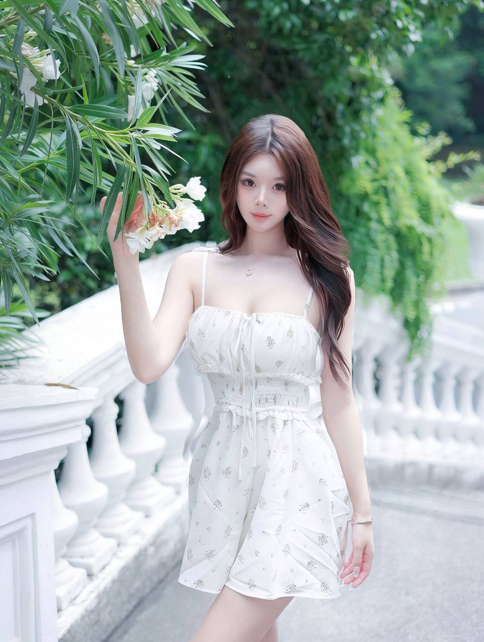 HeHua 荷花