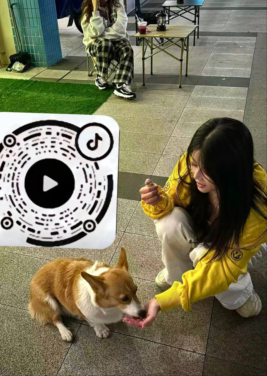 莹莹 上新