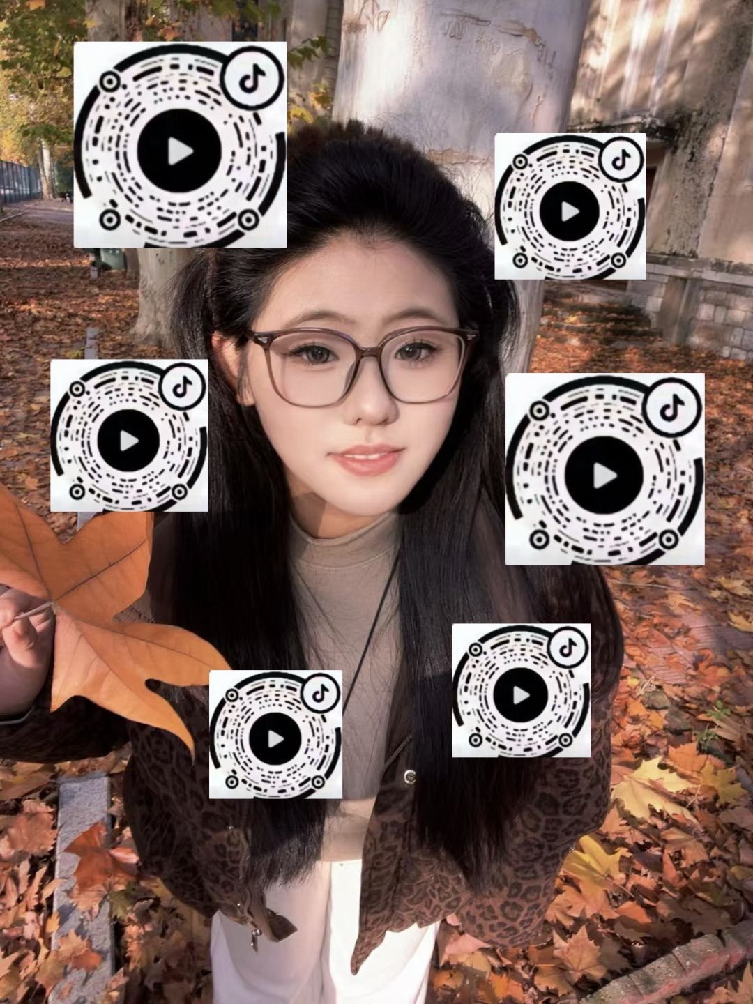 豆豆