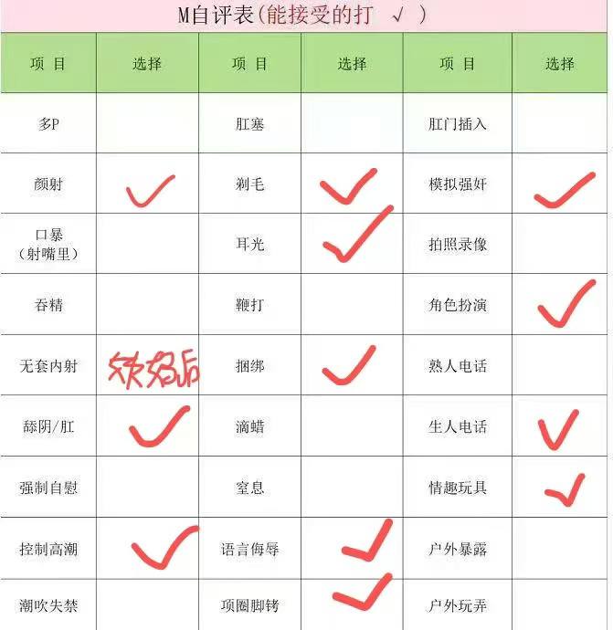 伴友 M3