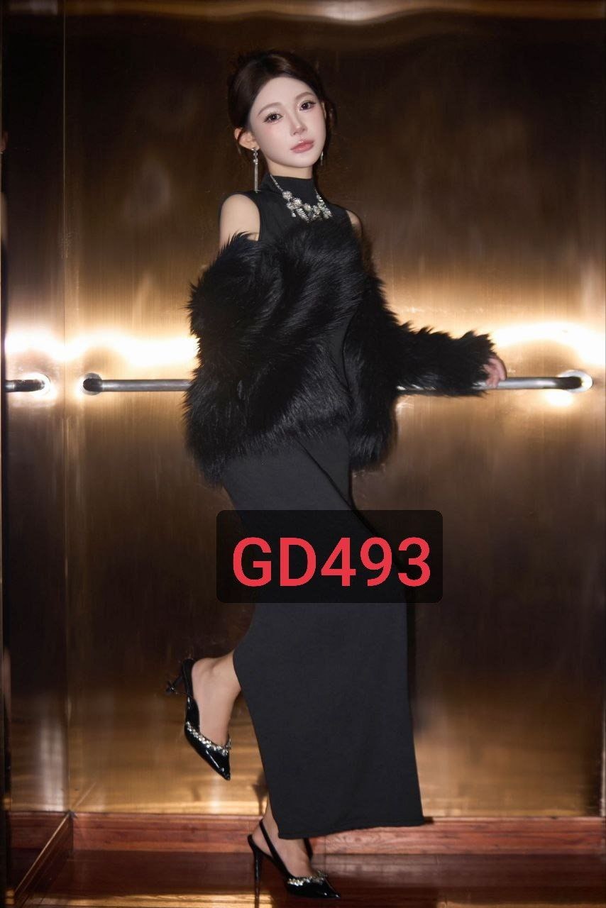 GD493
