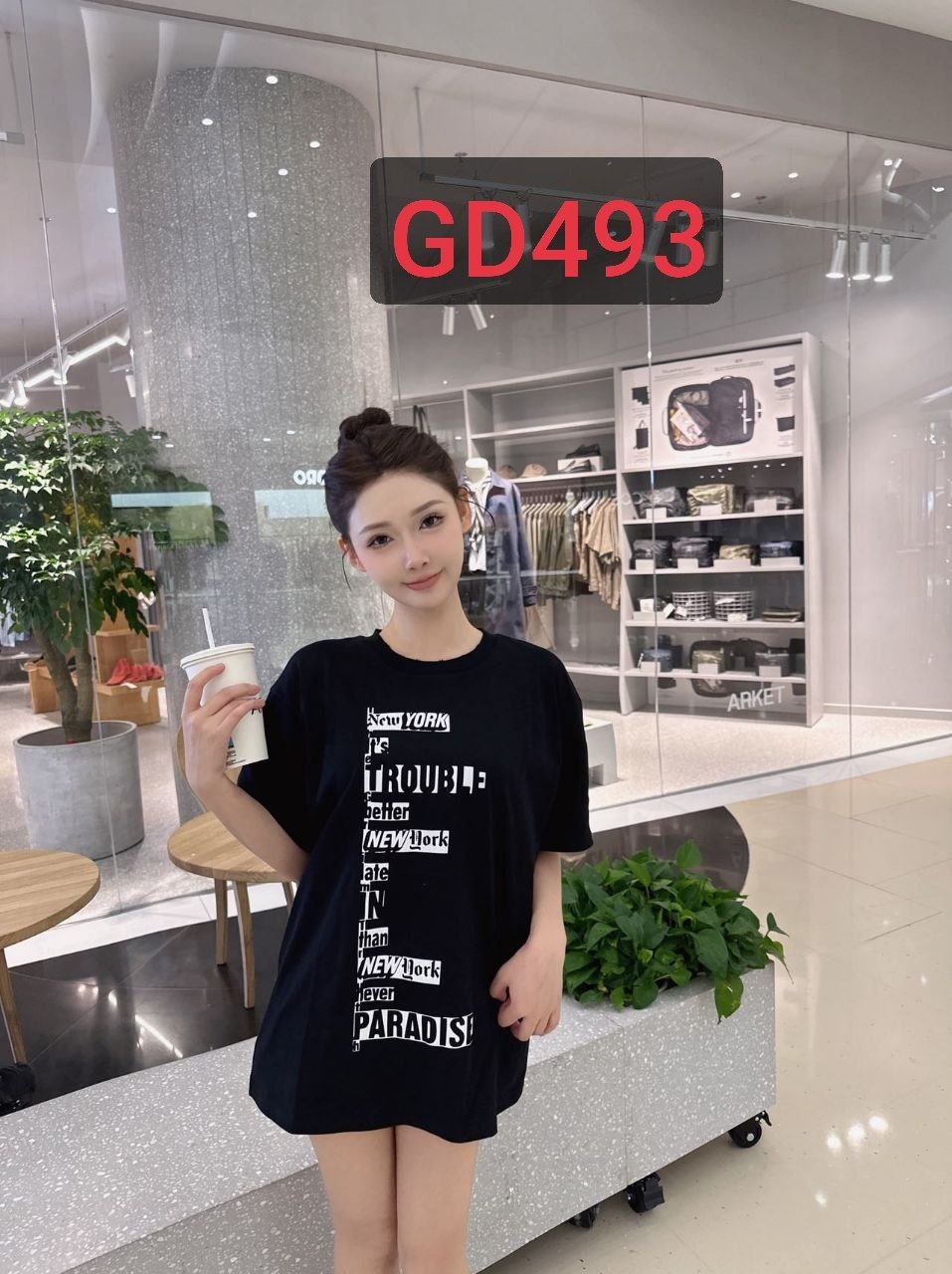 GD493