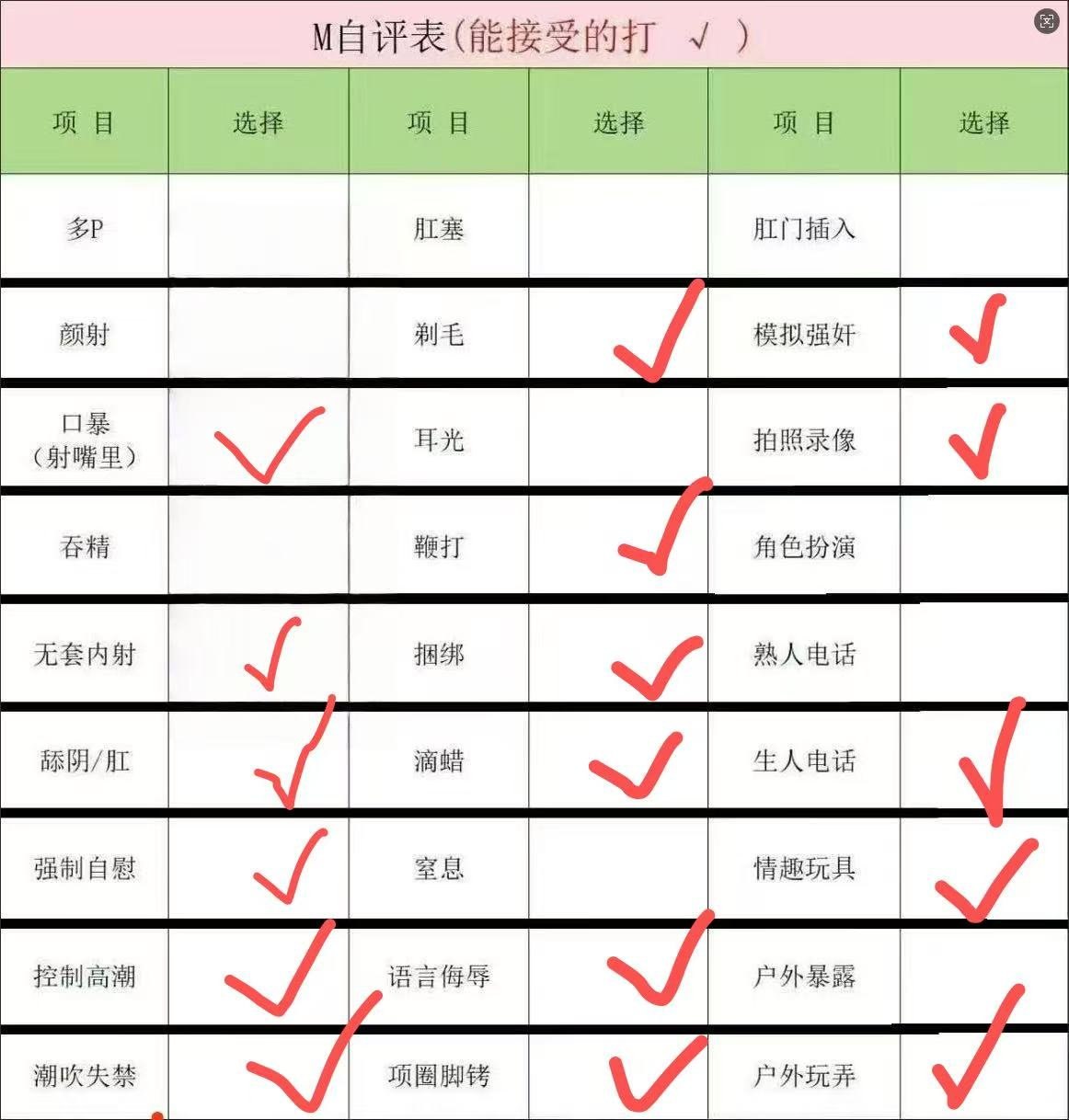 TY-Z1024