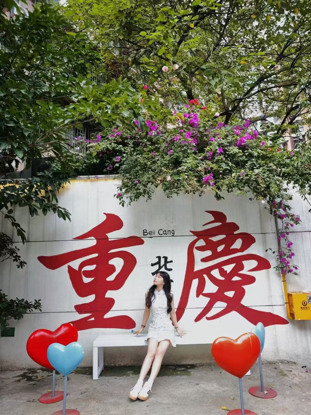 丽L