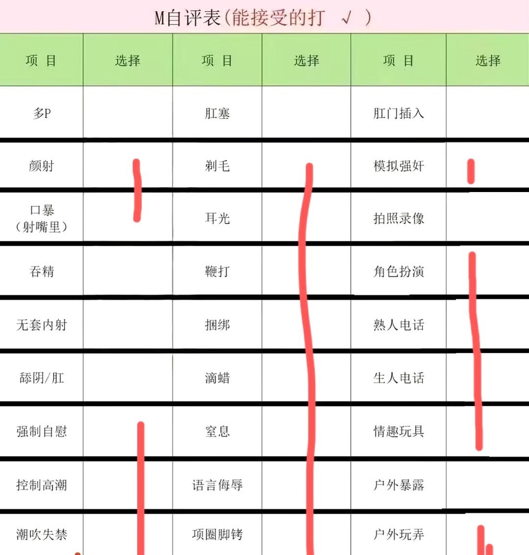 TY-Z1003