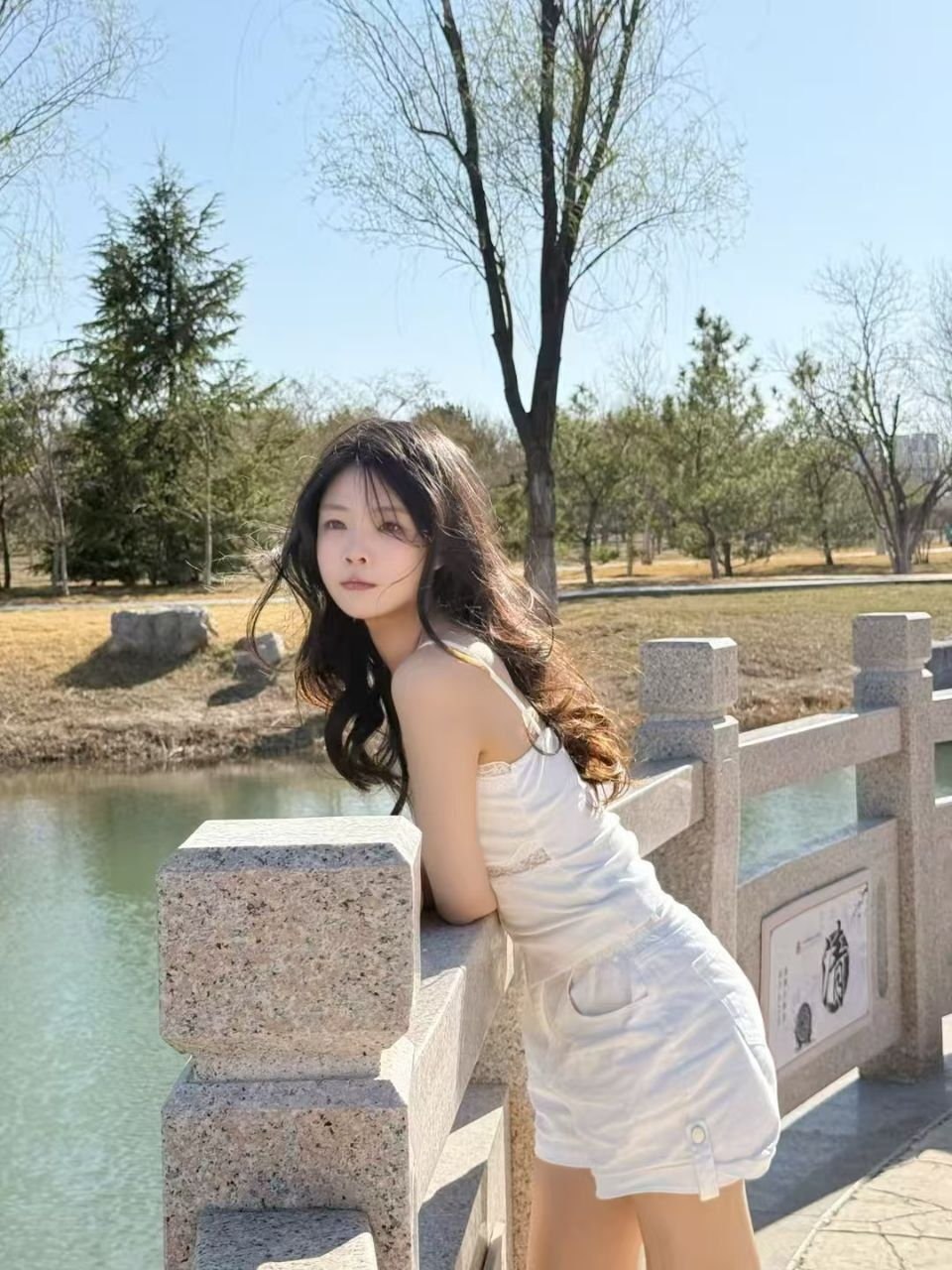 孤岛（龙）007