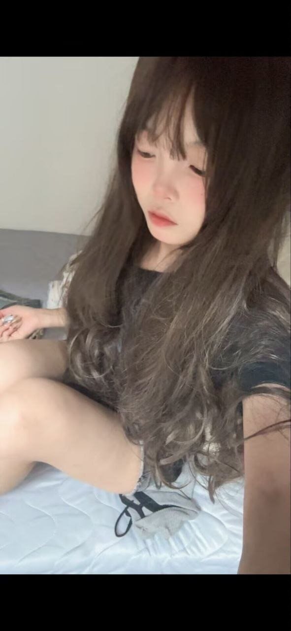 豆豆N
