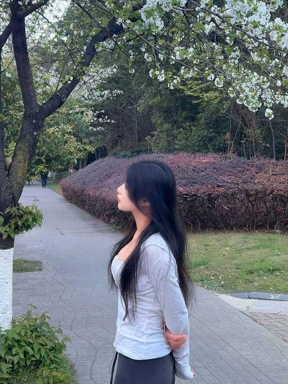 朴朴1351