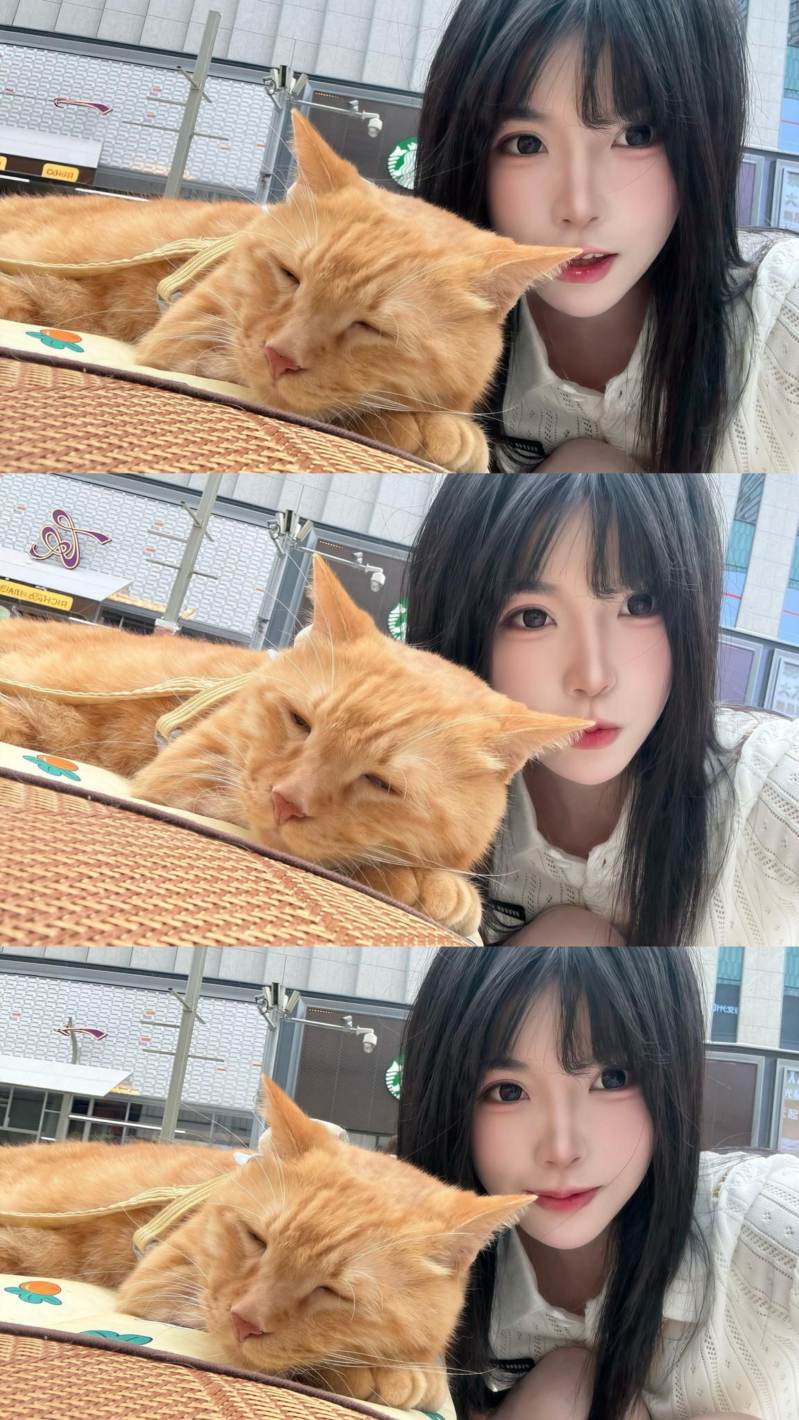 李逍遥2077