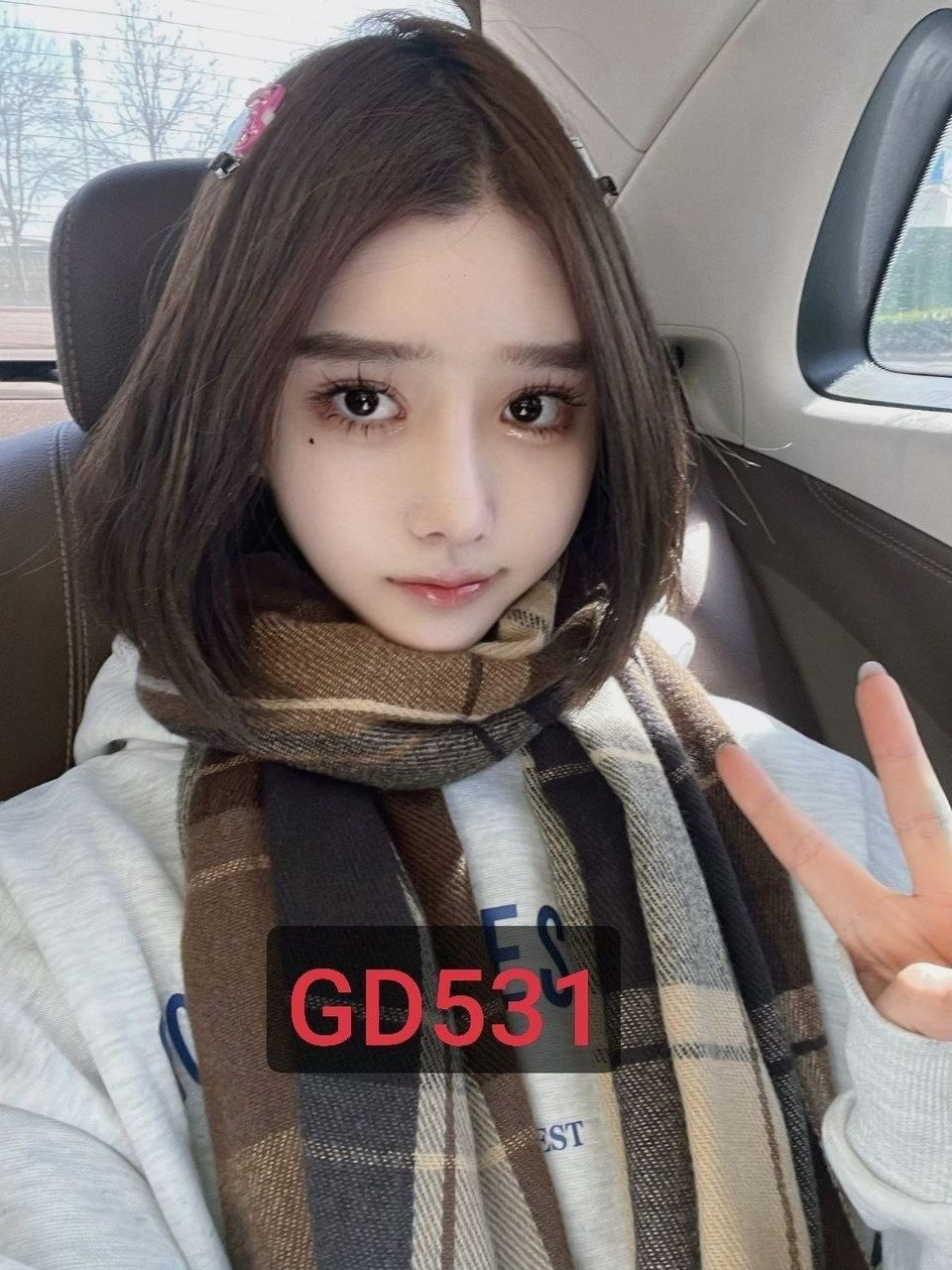 GD 双飞