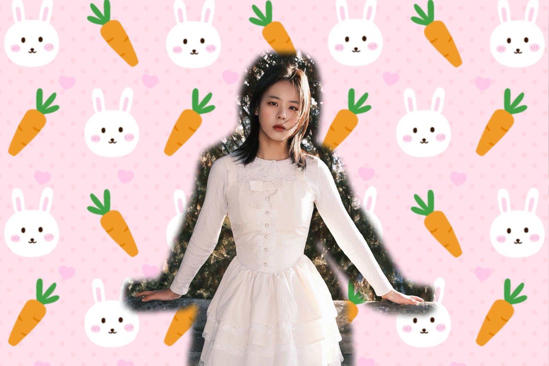 樊樊