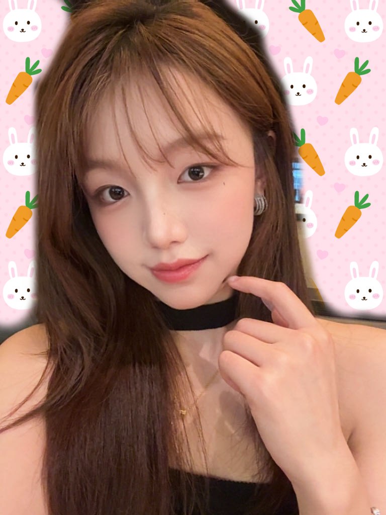 羊羊