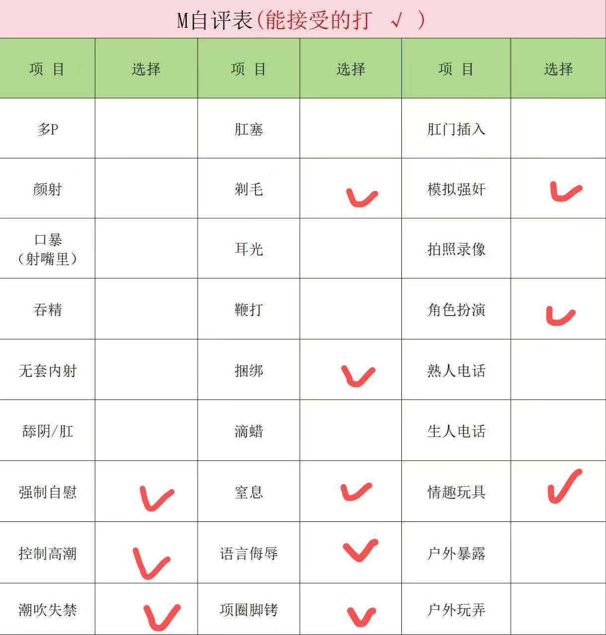 伴友 P93