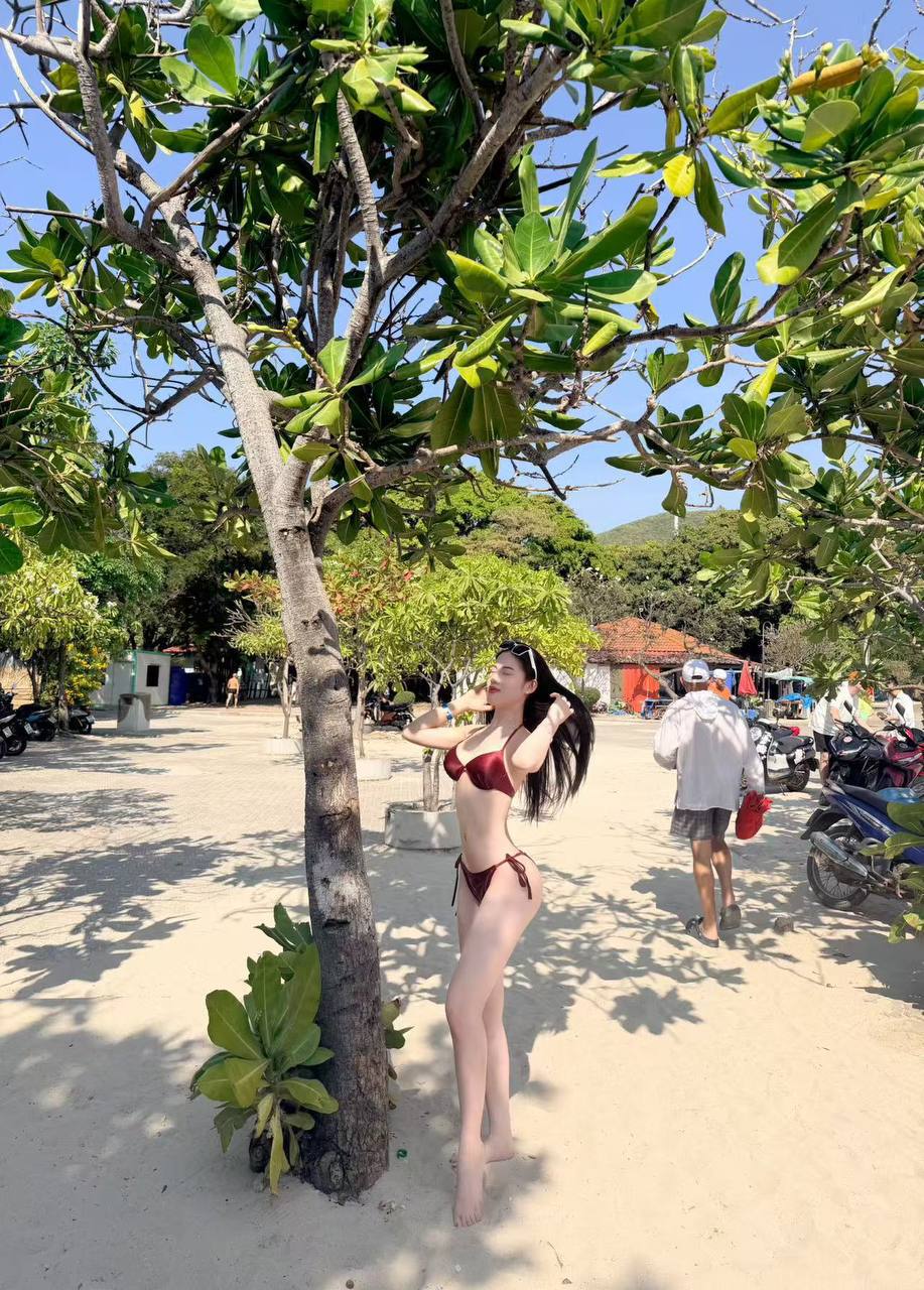 芒果