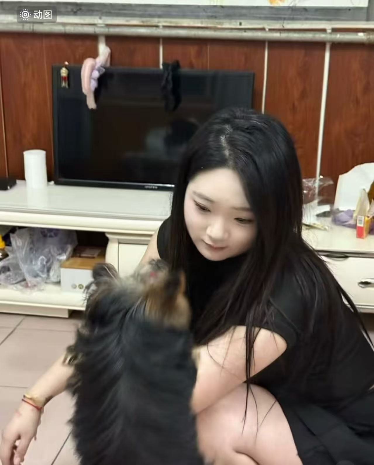 豆豆h021