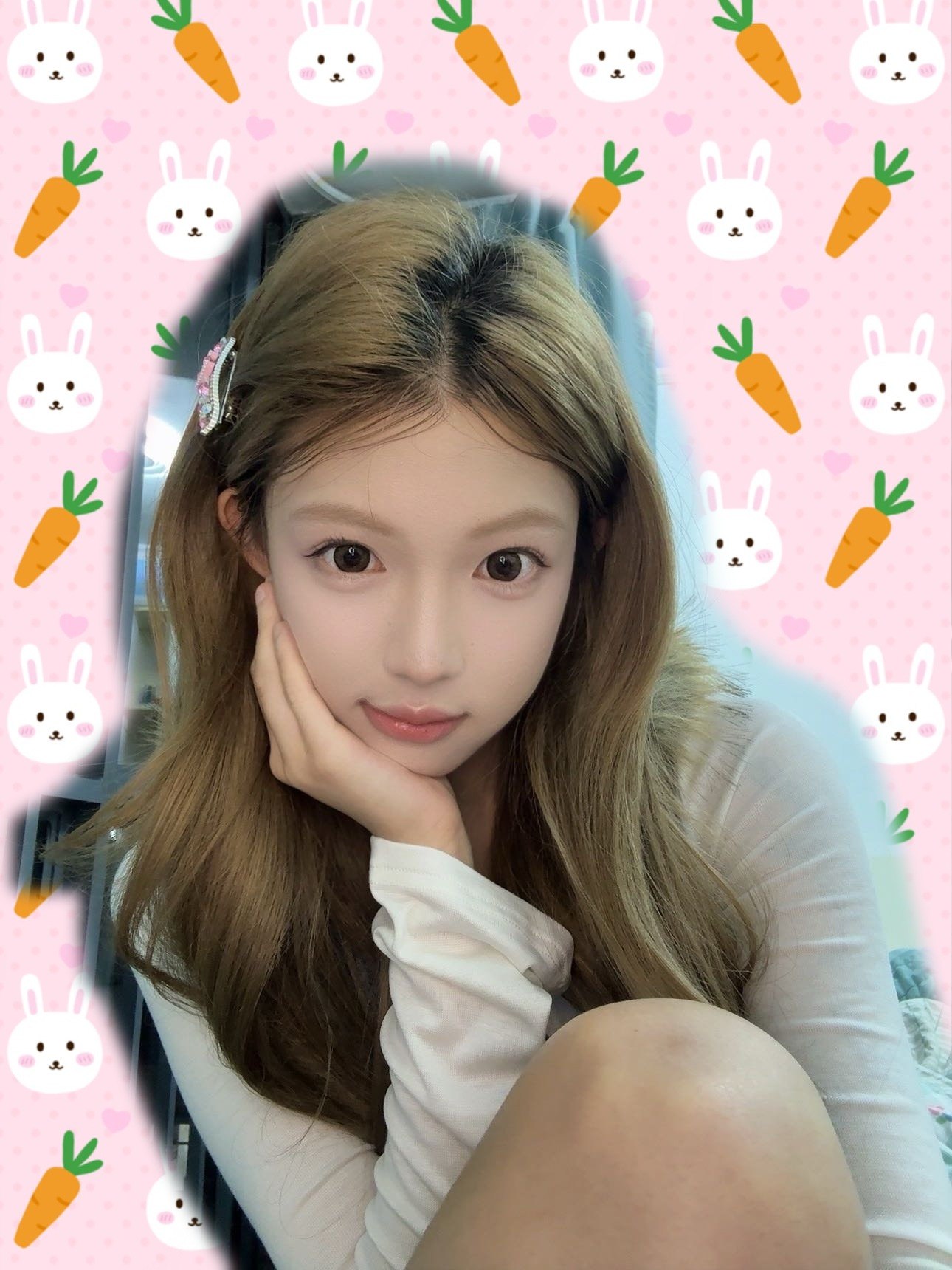 蛋蛋