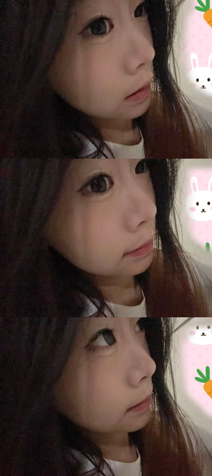 笨蛋小猫