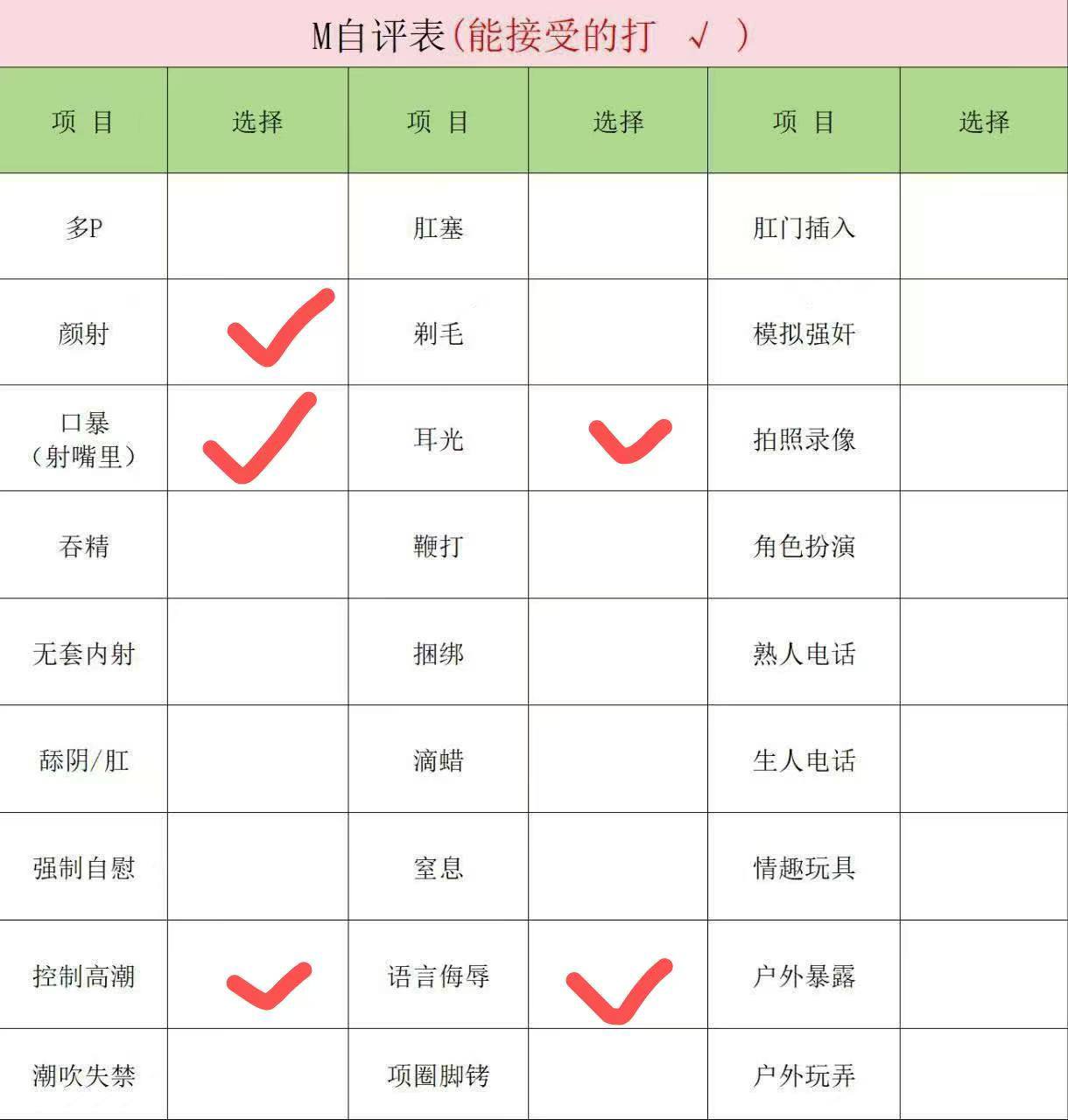 伴友 H30