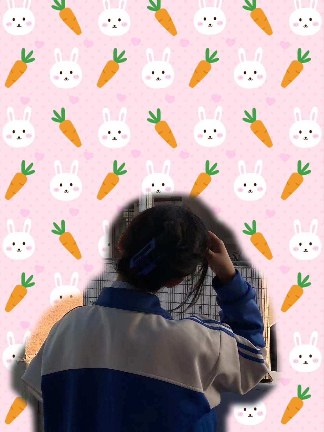 悦悦