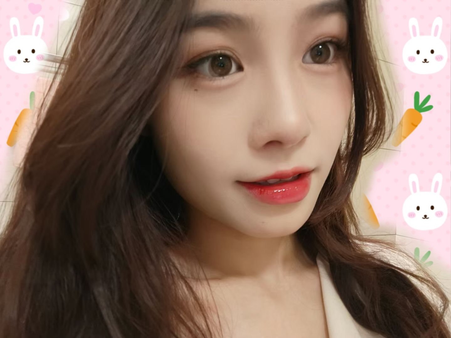 猫猫