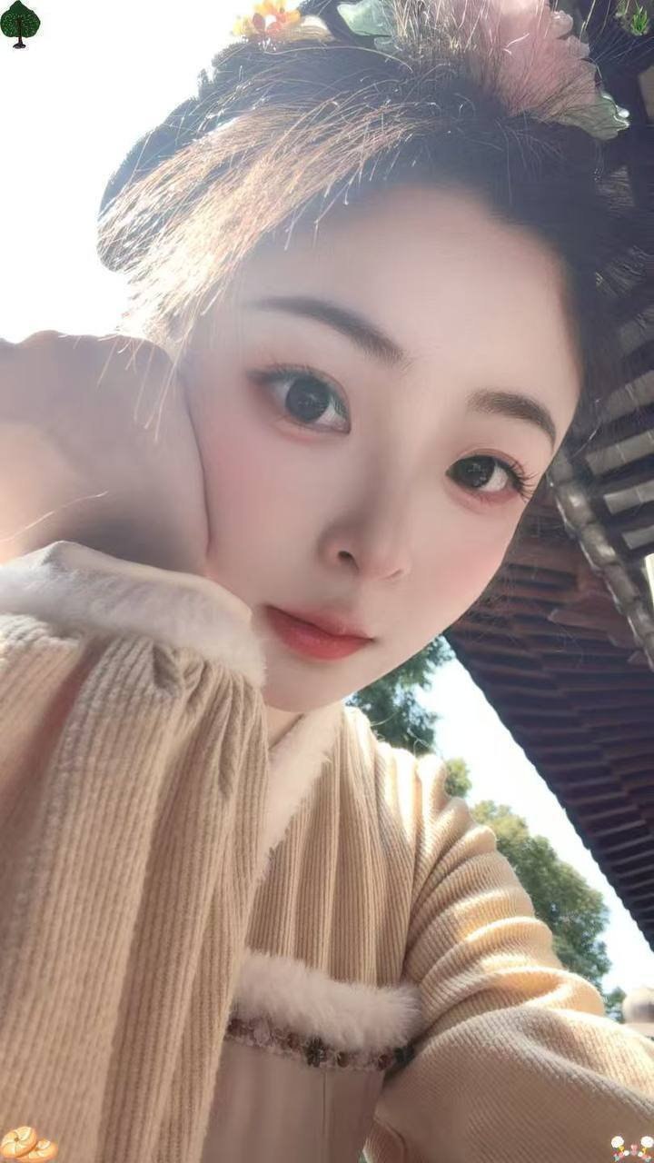 豆豆S