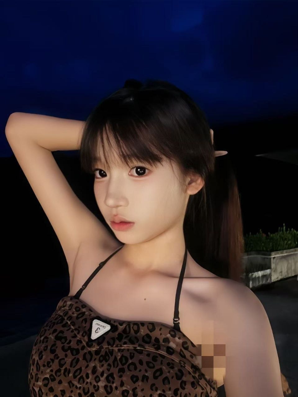 豆豆N