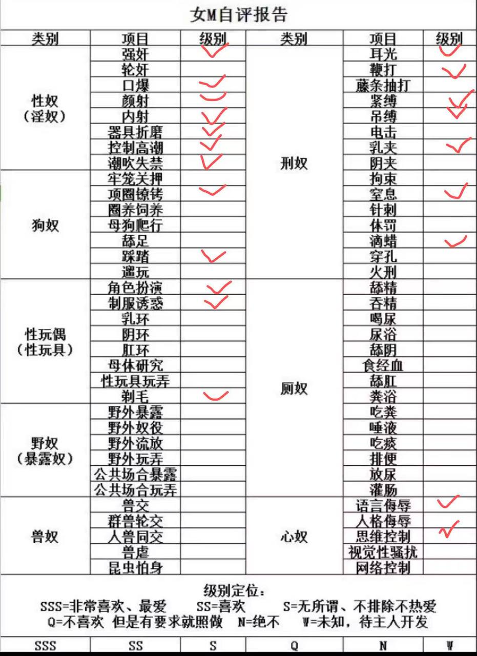 皮皮