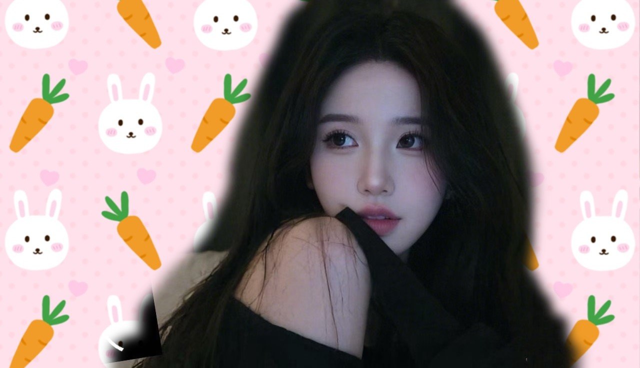 愿愿