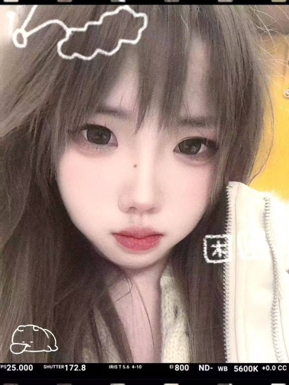 菠萝- BL-cy2