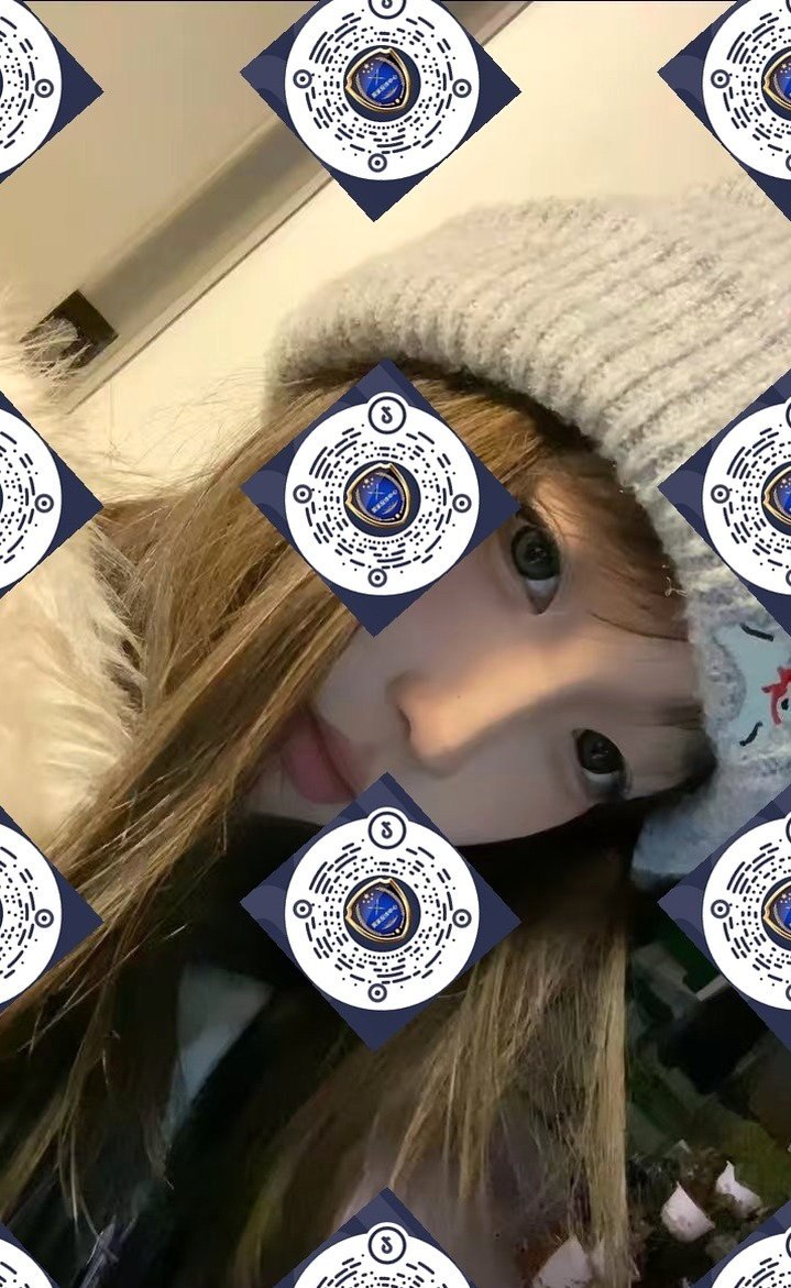 朴朴村长223