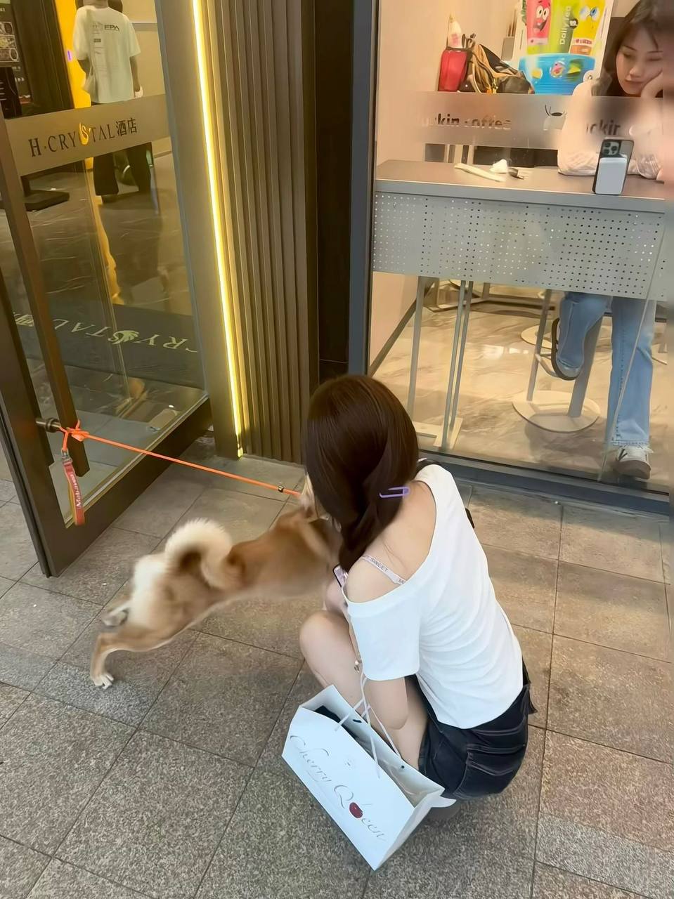 菲菲