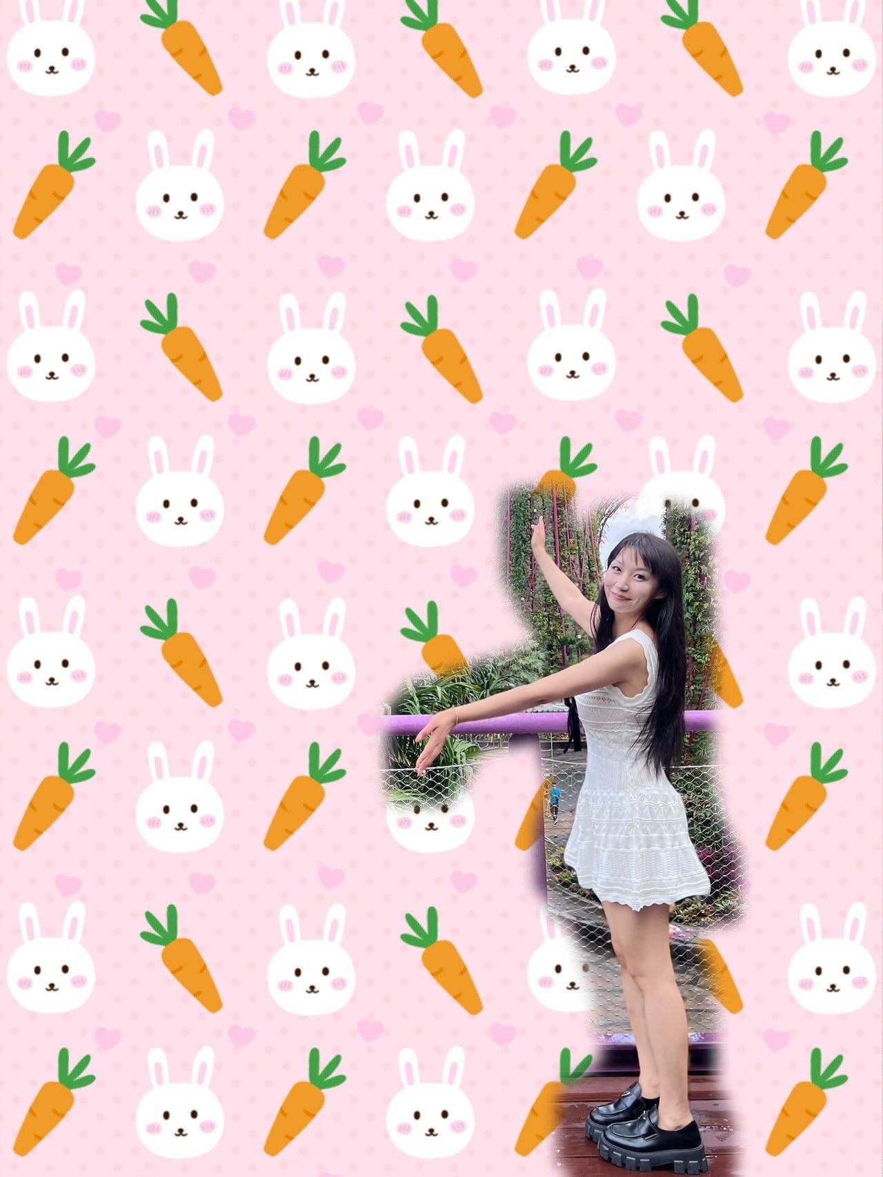慧慧