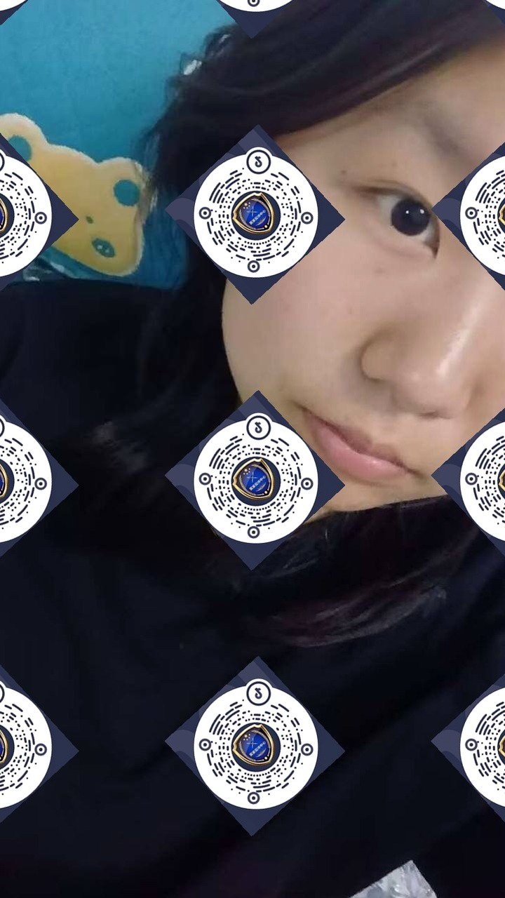朴朴793