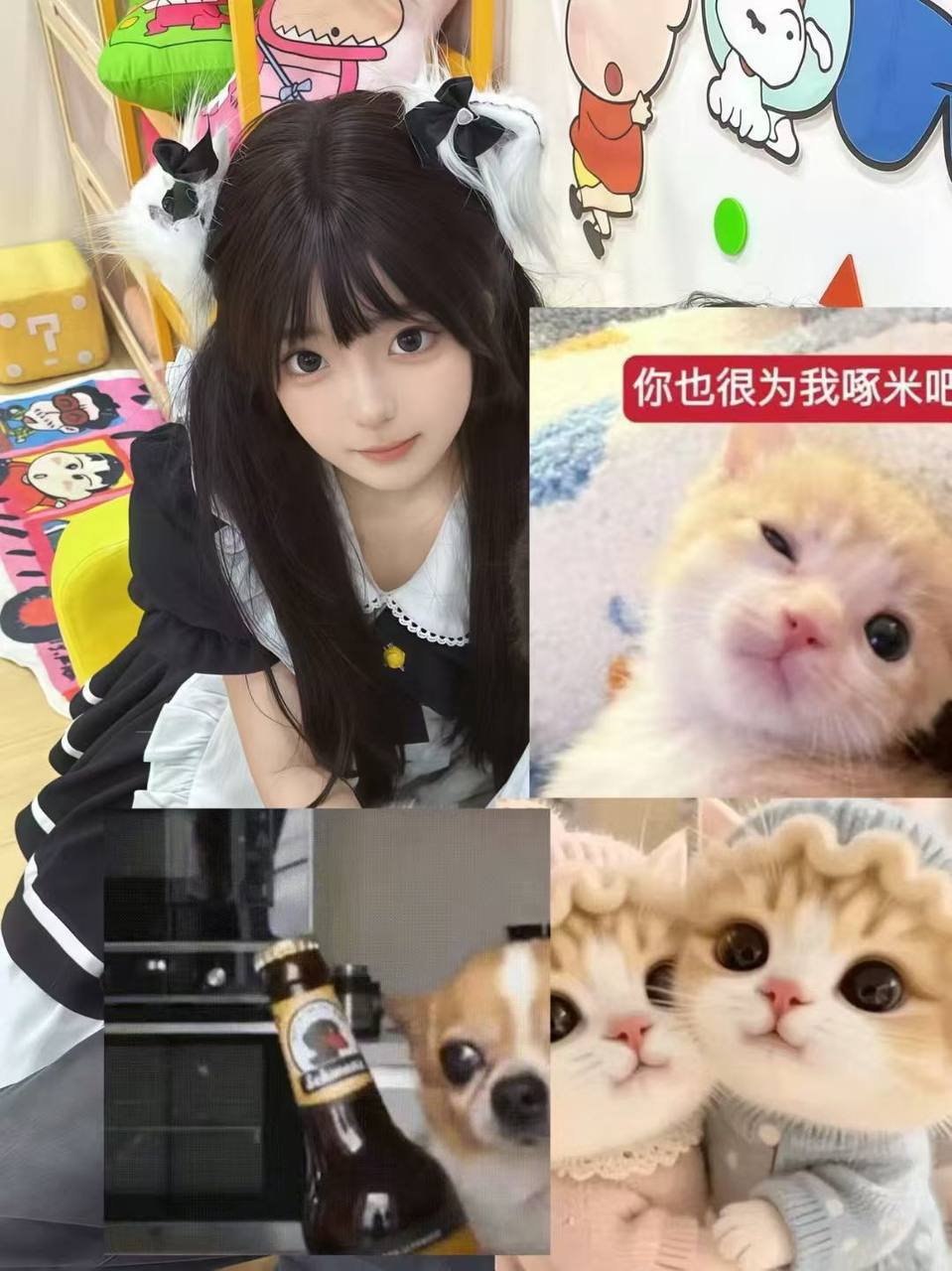 孤岛021
