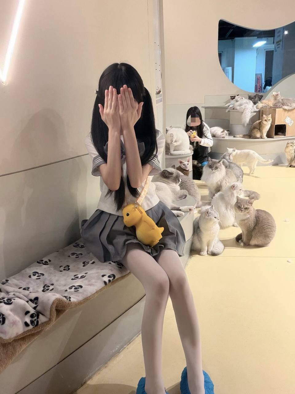 豆豆j