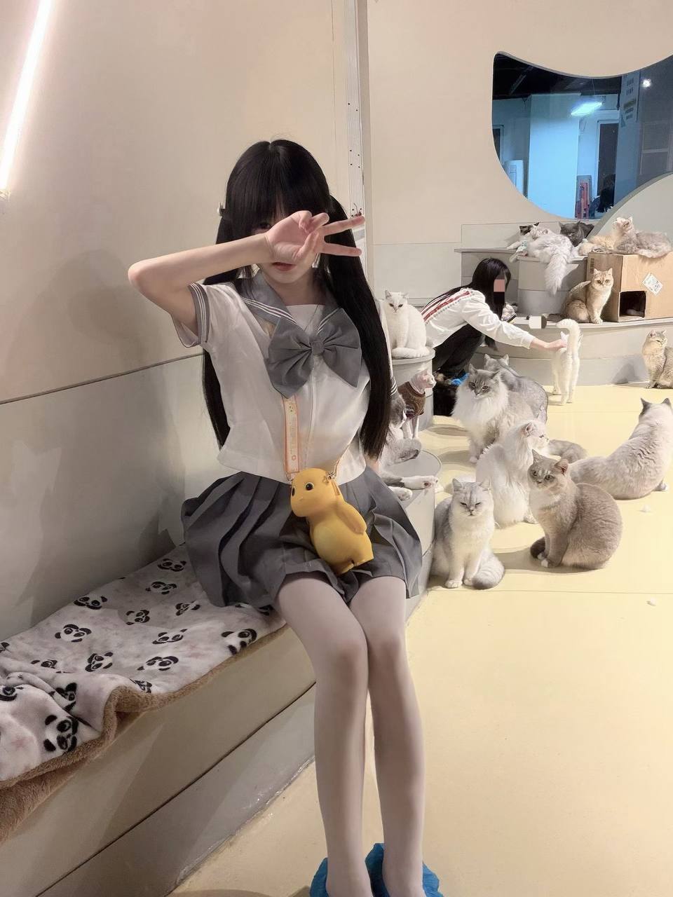 豆豆j