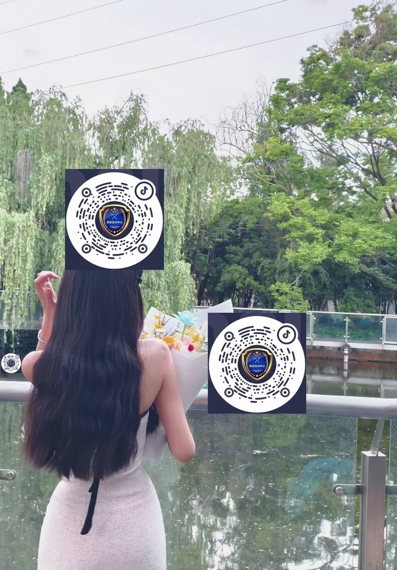 猫猫