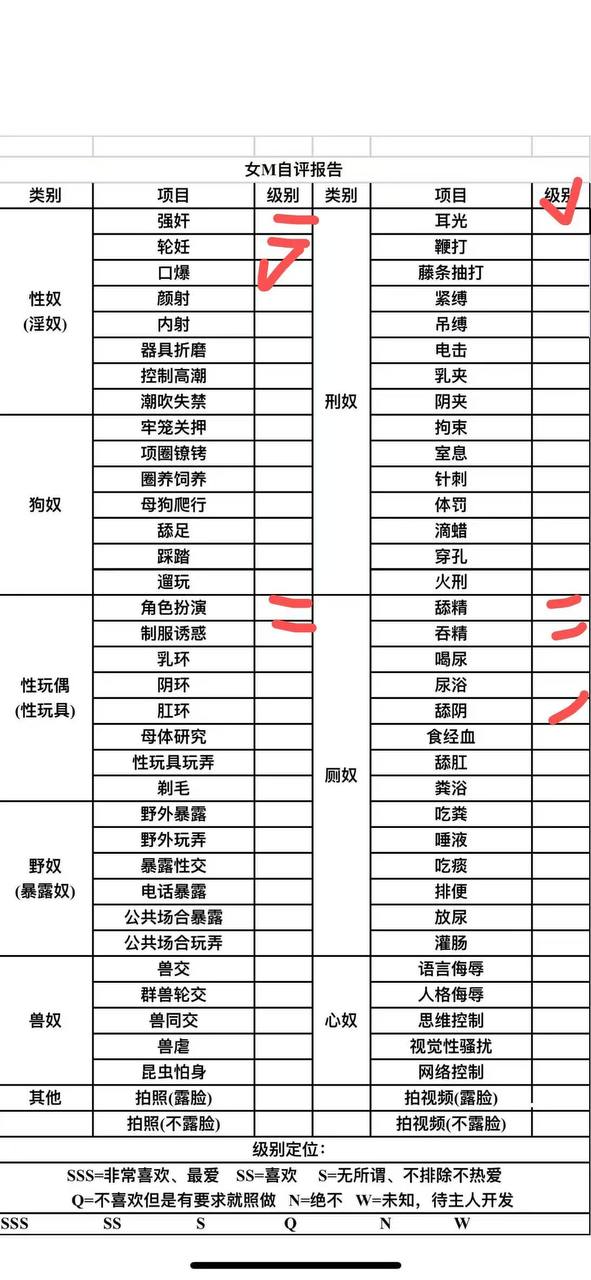 伴友 R29